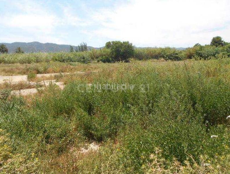 Foto 01cf35de-5690-42f6-9e3d-a19718183647. Finca rústica en Aljucer Murcia