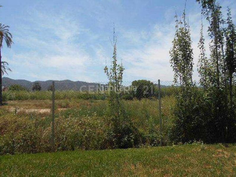 Foto 3d12316d-48c0-4311-8d4e-6201dbfcca8d. Finca rústica en Aljucer Murcia