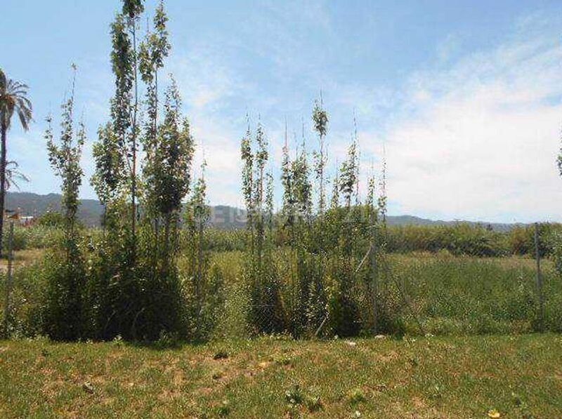 Foto 4f8abd54-1481-40cf-934f-cf251a51b887. Finca rústica en Aljucer Murcia