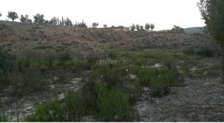 Rural plot in B-27 210