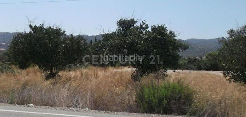 Foto 8bb83e02-340b-4990-a3e7-3c605cd909af. Fondo rustico in Alberca Murcia