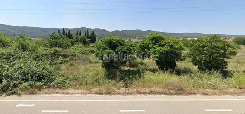 Foto 089d51b7-e6a8-444a-848f-a4b3228cf214. Finca rústica a Alberca Murcia