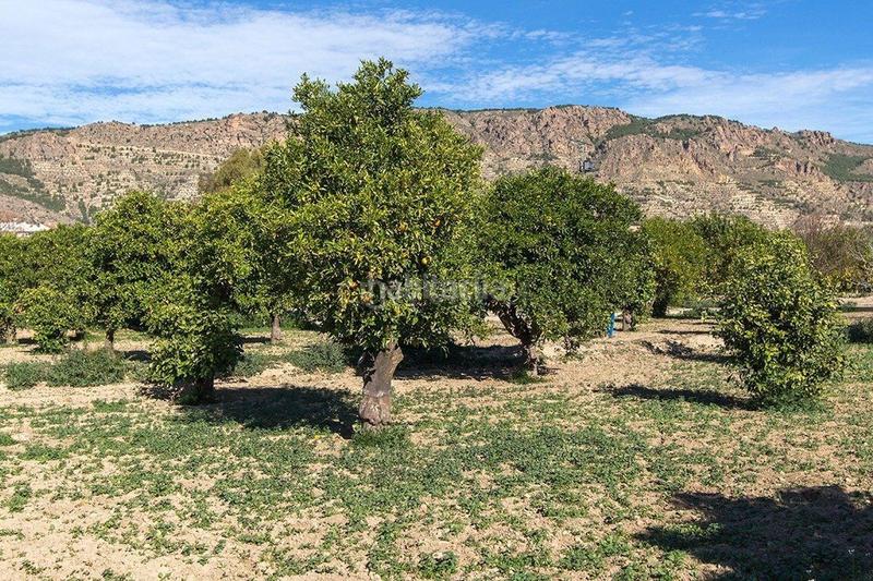 Foto a849984b-8469-4a2b-934a-5d30b3901edb. Chalet en rm-e10 1 en Alhama de Murcia ciudad Alhama de Murcia