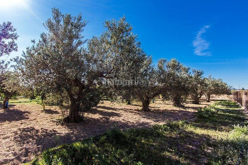 Foto bb5dd2b1-cf41-4680-bae0-db783a576288. Chalet en rm-e10 1 en Alhama de Murcia ciudad Alhama de Murcia