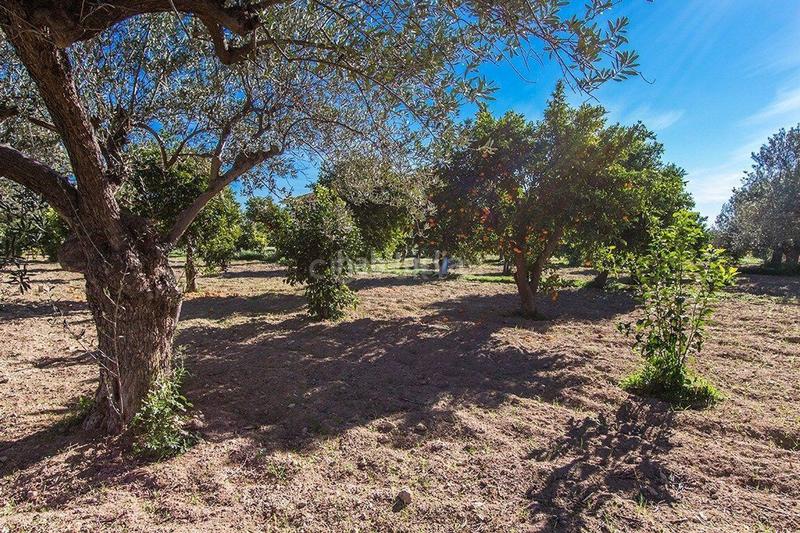 Foto f00df8e9-e366-42af-b3b7-35bfc42dbc60. Chalet en rm-e10 1 en Alhama de Murcia ciudad Alhama de Murcia