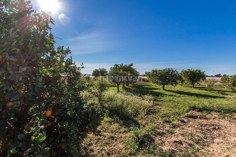 Foto fb878185-bb1f-4d6c-85b6-6d34c778a497. Chalet en rm-e10 1 en Alhama de Murcia ciudad Alhama de Murcia