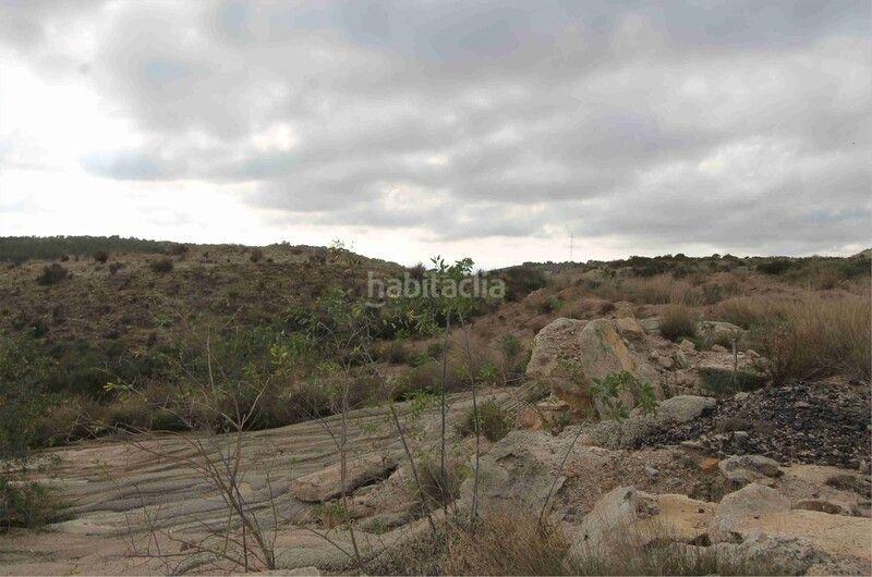 Foto 38b3e7ac-3a2e-41ea-9a90-c584cd948525. Residential plot in Baños y Mendigo Murcia