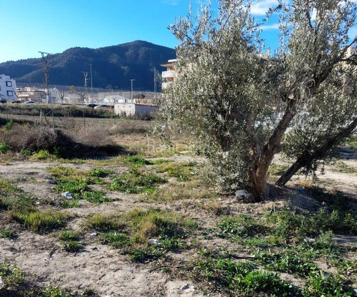 Foto 9469aab1-8679-4543-bdc4-4ea5f851b8ed. Wohngrundstück in beniajan sitio de tinosa in Beniaján Murcia