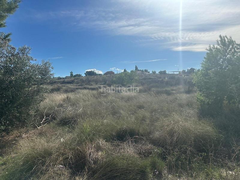 Foto 2a7fb726-8054-437b-b12b-3dfc402db5b1. Terreno residenziale in La Alcayna Molina de Segura