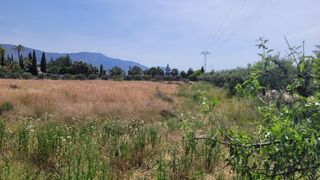 Rural plot in Calle polígono siete 7. Finca rústica de regadío en blanca