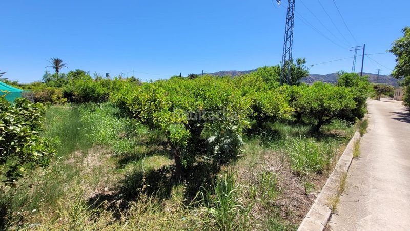 Foto 0073d254-9535-4635-a891-f97f43495e09. Finca rústica a Vistabella Murcia