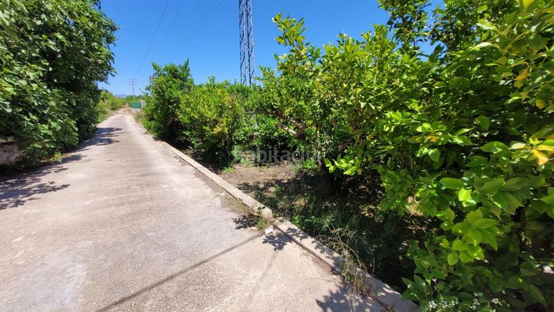 Foto 063e7ba2-7a91-4853-b04e-df5062425767. Finca rústica a Vistabella Murcia