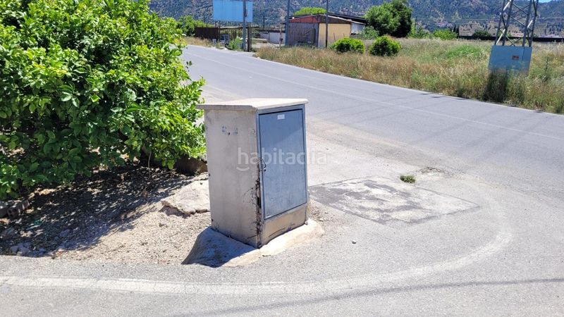 Foto 54184c8f-75fc-4005-b666-e4b36960a402. Finca rústica a Vistabella Murcia
