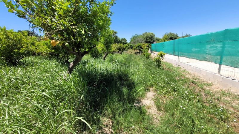 Foto cd7ca166-d50e-45a9-bc8a-682acfb44e7e. Finca rústica a Vistabella Murcia