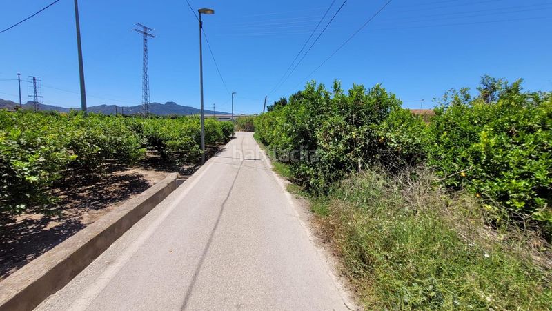 Foto d706851a-e1d1-4d40-a790-c476169f9b2a. Finca rústica a Vistabella Murcia
