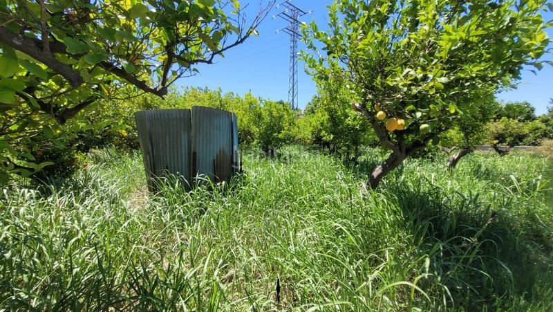 Foto f3ad8237-5868-4384-a530-2ce5f36759bb. Finca rústica a Vistabella Murcia