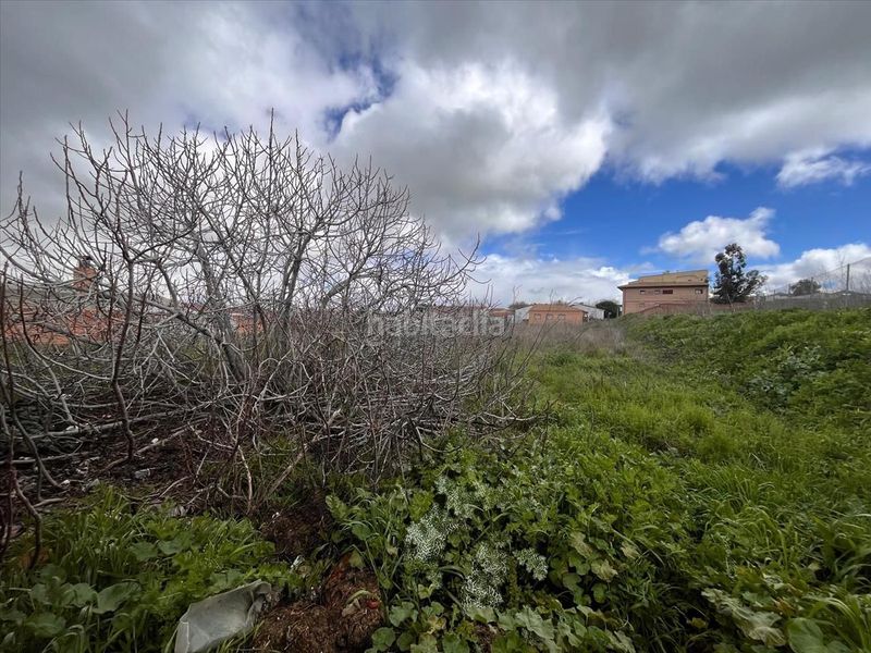 Foto 29f3542e-f362-4de8-a508-1d79e0df28e0. Terreny residencial a calle de teodomiro lópez fentanes s/n a Recas