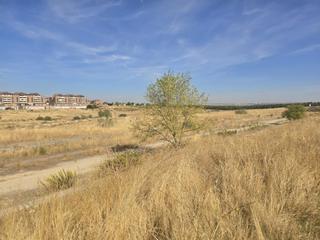 Solar industrial a Sector i-10 h parc