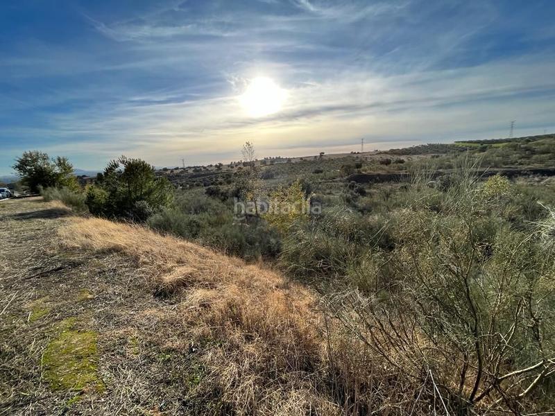 Foto 020ef26a-7079-4127-a58f-4313e2896f09. Finca rústica a polígono 11 126 a Bargas