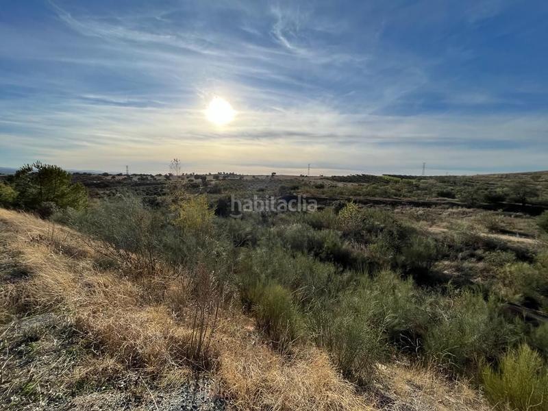 Foto 8549dbc1-b141-41ae-89ee-9996d4c27b0d. Finca rústica a polígono 11 126 a Bargas