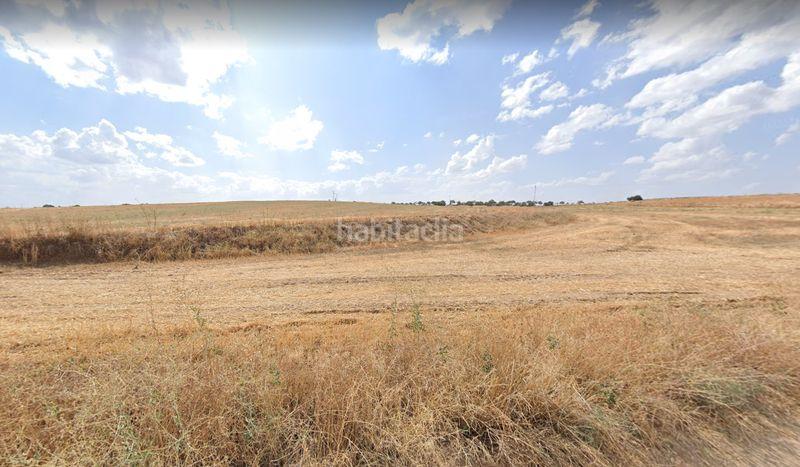 Foto c29631fc-ab39-4b4d-98bc-f4c324cb0a95. Finca rústica a polígono 11 126 a Bargas