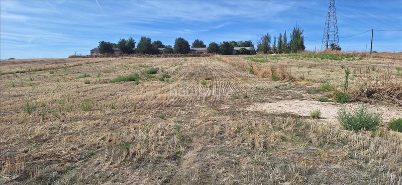 Foto 676a6604-1ff2-4ec5-8ca2-06ed4f0b7f6b. Finca rústica a Torrejón de Velasco