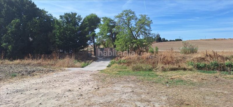 Foto 9a6d595f-3623-4a80-b1af-98c267e36323. Finca rústica a Torrejón de Velasco