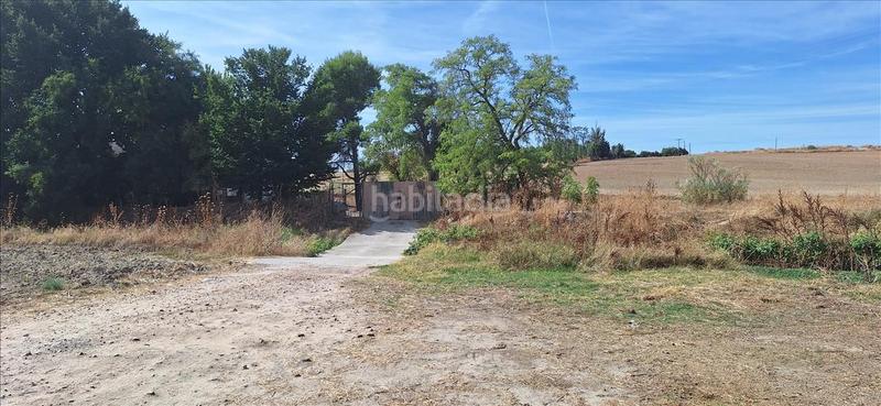 Foto b541c6f7-9e93-4ecc-8fc2-2ae489484b00. Finca rústica a Torrejón de Velasco