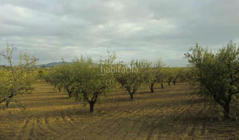 Foto 0f0411f7-0fbd-4304-a8ab-3ef890fe6fc5. Finca rústica a Burguillos de Toledo