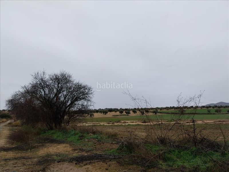 Foto 354a4180-4620-4a1d-92f4-4982af902e10. Finca rústica a Burguillos de Toledo