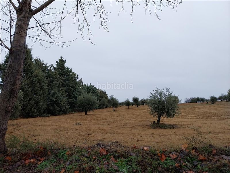 Foto 6e1af336-6390-4532-a3fb-60272b98dcbd. Finca rústica a Burguillos de Toledo