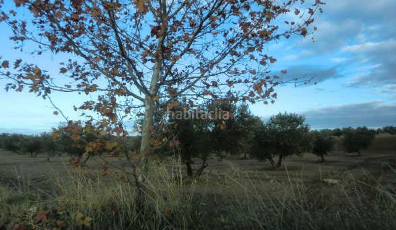 Foto 90723d97-ea1e-489a-82c6-920c5e0c3248. Finca rústica a Burguillos de Toledo