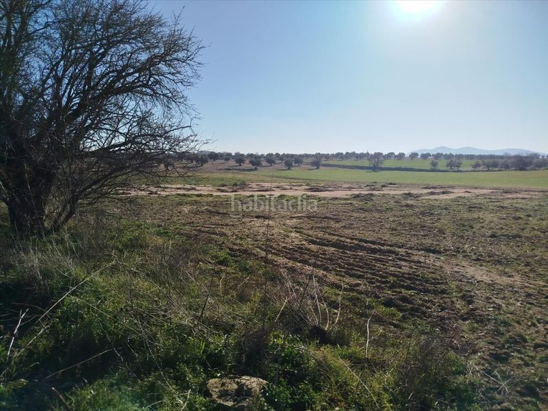 Foto ba89e761-82f7-40f5-805d-b605339e6cef. Finca rústica a Burguillos de Toledo