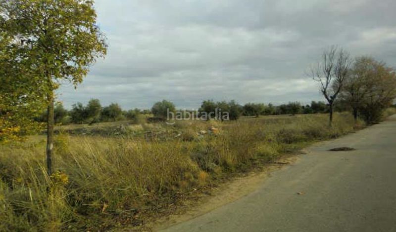 Foto d384b7d1-2336-4459-a585-4c0ab58e85c7. Finca rústica a Burguillos de Toledo