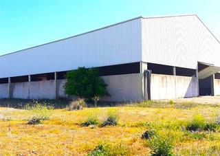 Nau industrial a Torrejón del Rey