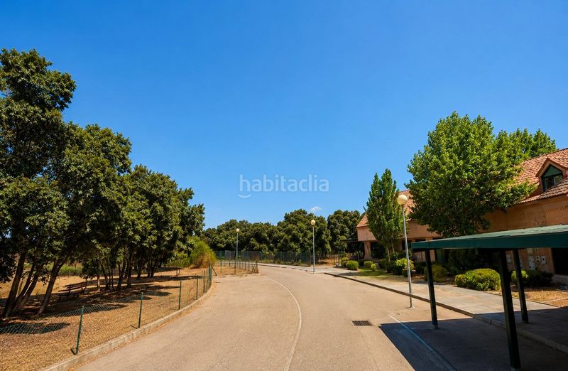 Foto d7f8ce0e-b821-4c25-9bde-d77357660f65. Local comercial a Escalona