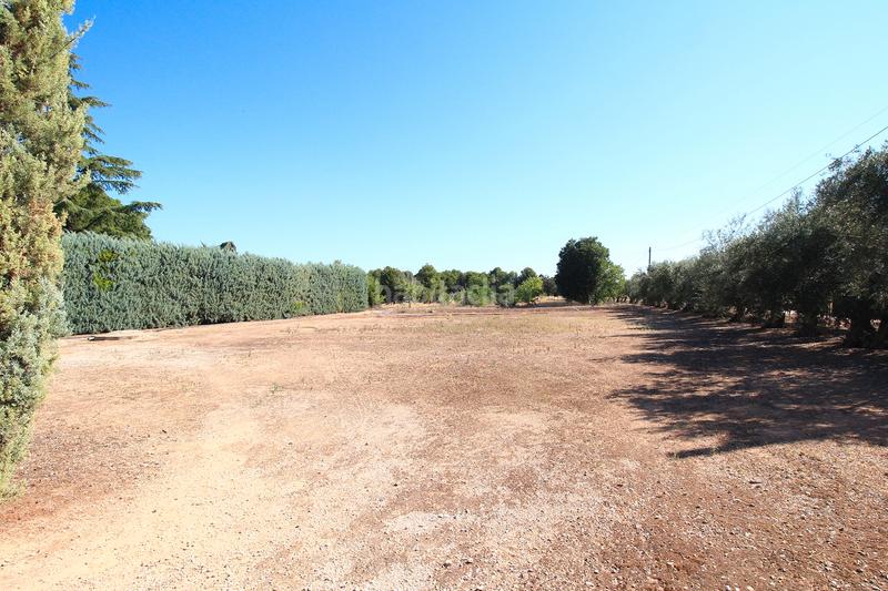 Foto d23853fa-3fe2-414f-a91f-d52293f4da50. Casa con riscaldamento parcheggio piscina in San Pedro Albacete