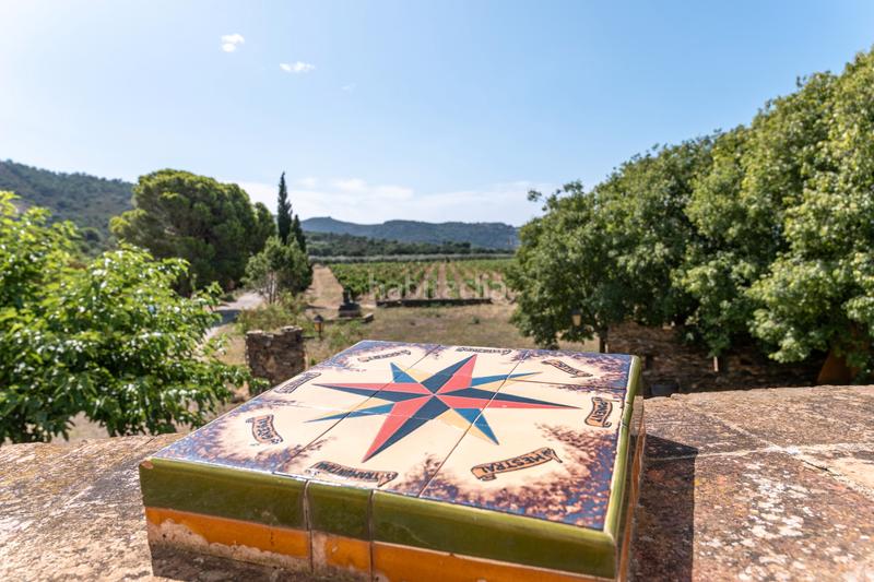 Foto 95d5c8e7-fe19-4bee-bb31-5eac03486104. Mas avec chauffage parking piscine dans Nord Roses