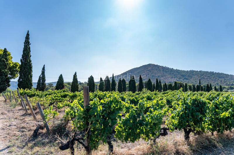 Foto b35e07cf-ec91-4041-9624-74b73299ba06. Mas avec chauffage parking piscine dans Nord Roses