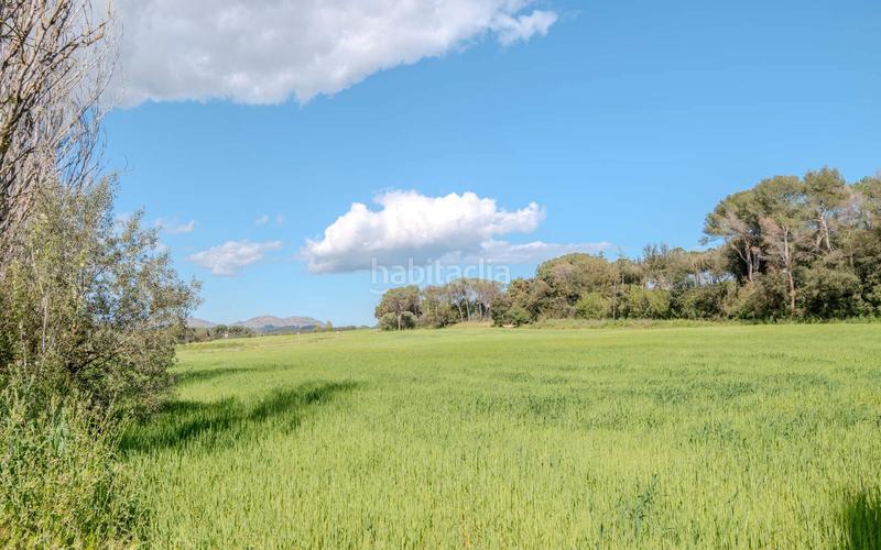 Foto 984bb81f-19e2-4828-b196-426761299e20. Casa amb calefacció aparcament piscina a Forallac