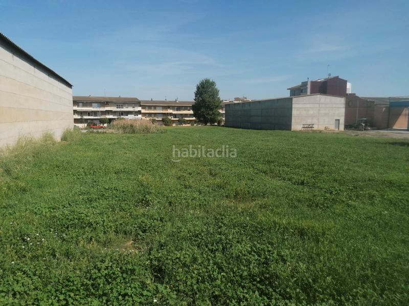 Foto e20070ed-f579-4bf7-9a98-f7a94fe09d97. Wohngrundstück in Linyola