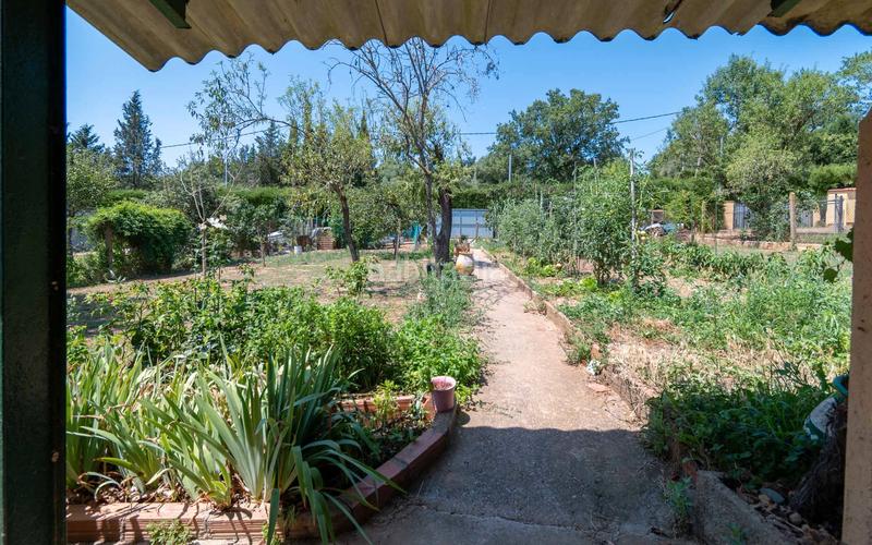 Foto 55c43799-7783-4d41-8270-db6bde43a6ad. Residential plot in Cruïlles, Monells i Sant Sadurní de l´Heura