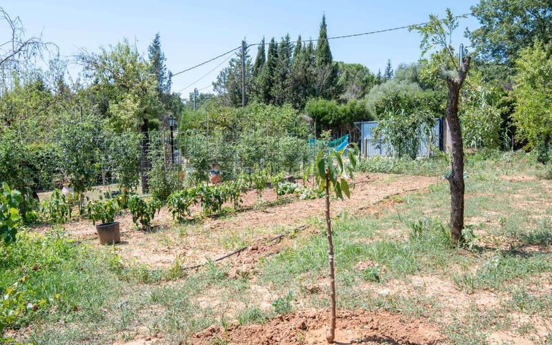 Foto 5dccd7a0-ad55-4d84-9d7d-6b73192307f6. Residential plot in Cruïlles, Monells i Sant Sadurní de l´Heura