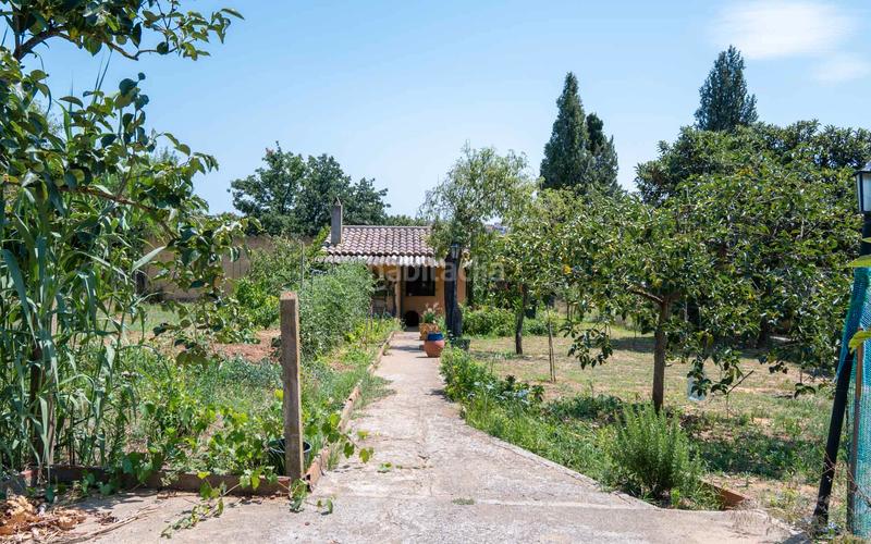 Foto a63e665a-515e-4b62-8f6d-d8477124cf49. Residential plot in Cruïlles, Monells i Sant Sadurní de l´Heura