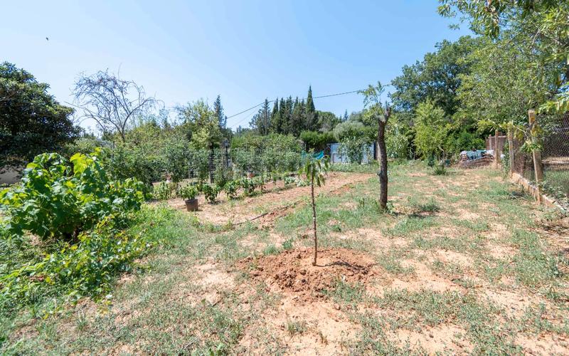 Foto b5fdcc10-f38b-4581-a0b6-40e2cbde9cfb. Residential plot in Cruïlles, Monells i Sant Sadurní de l´Heura