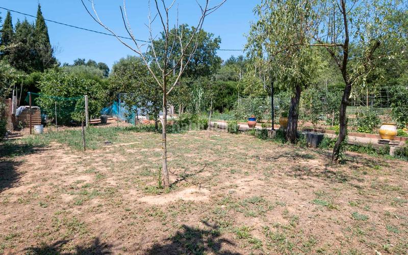 Foto e46ffec9-3f22-4692-ac3f-21554f8cd854. Residential plot in Cruïlles, Monells i Sant Sadurní de l´Heura