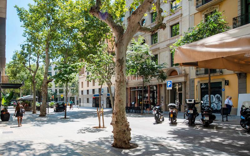 Foto 9ab8d2b0-19d0-4995-839c-4194d26f6cdf. Alquiler ático  en alquiler de temporada en lantiga esquerra de leixample con 3 habitaciones, 2 baños y una gran terraza, en Barcelona