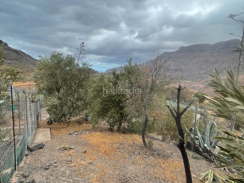 Foto 8785f963-2ad9-49e2-9fe8-f2be3ad5d706. Masia a Santa Lucía de Tirajana interior Santa Lucía de Tirajana