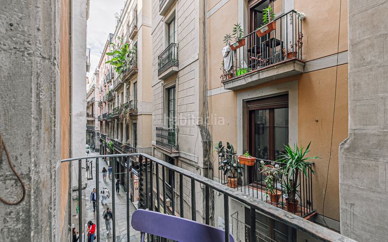 Foto c008a94a-287e-4e97-8e7c-81d70140d01a. Pis a Gòtic Barcelona