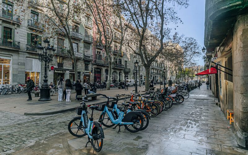 Foto 41799e3f-e669-4d02-825d-ab4746396818. Pis amb calefacció a St. Pere - Sta. Caterina - El Born Barcelona